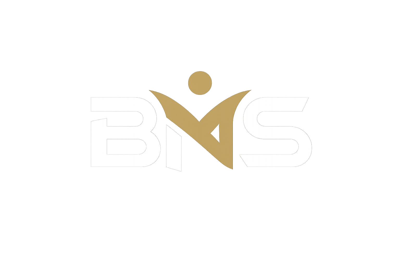 BNS BUSINESS SET UP SERVICES